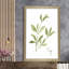 «Herb Sage» par Nan - Peinture-1494528115-1494528123