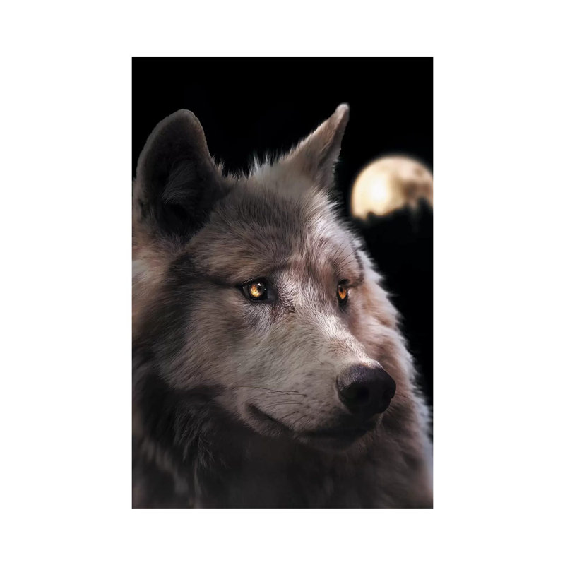 Wolf Moon by Zenja Gammer - Print on Canvas, Wrapped Canvas, 30.48 cm H x 45.72 cm W