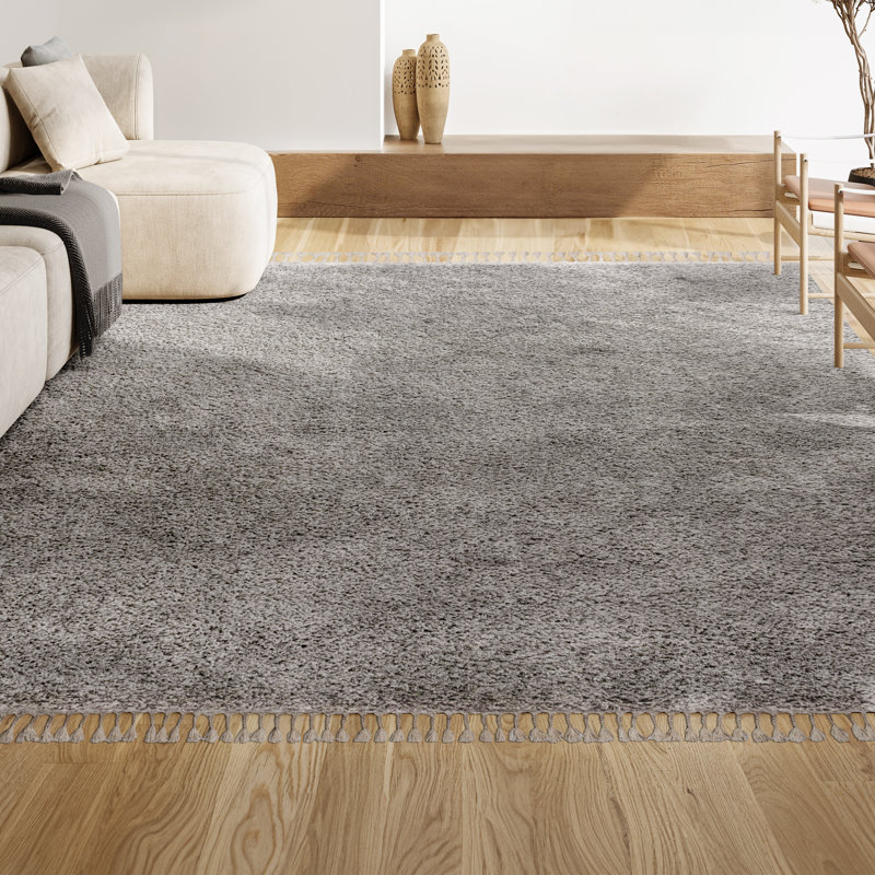 Felicdad Shag Plush Tassel Gray Rug, Rectangle 3'1" x 5'
