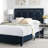 Clausen Upholstered Velvet Standard Bed-473621772-473621775
