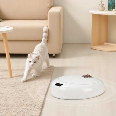 Hybrid Feeder/Toy