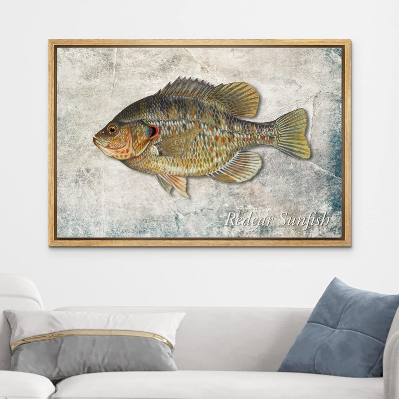 Fish " Redear Sunfish On Granite Background Marine Life Animals Realism Nautical Ultra ", Natural Floater Frame