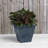 Alaunah Pot Planter-856830644-819794849