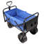 Chariot de plage pliable-123018770-123018772