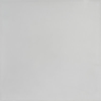 8 in. x 8 in. Honed Tile