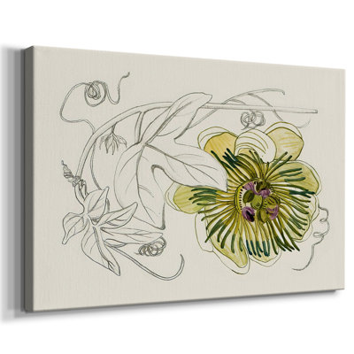 Passionflower II -Gallery Wrapped Cavas