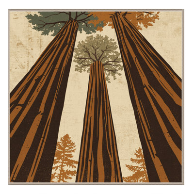 Tapis noir moelleux et moelleux au look rustique rétro Redwood Country
