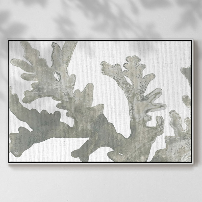 Stone Macro Coral II - reproduction de cadre flottant sur toile, H 25 po x l 37 po x P 2 po, Blanc
