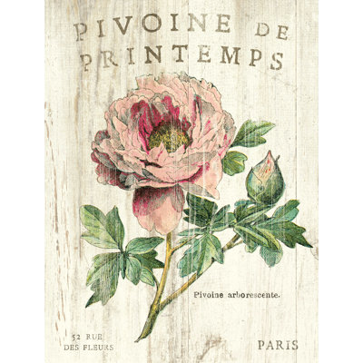 " Pivione De Printemps Sq "