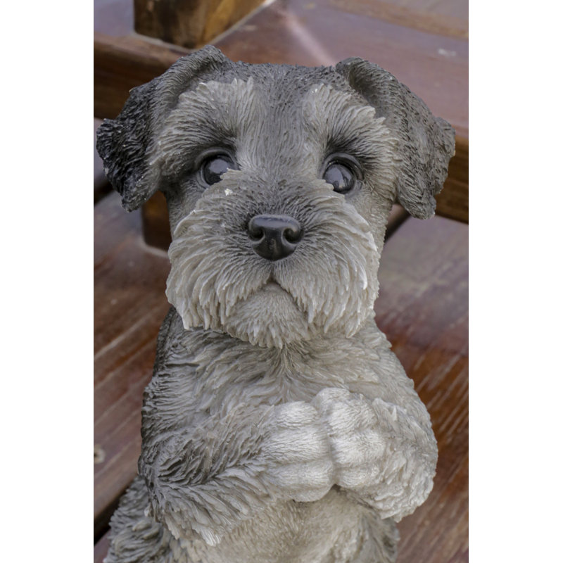 Statue chiot Schnauzer