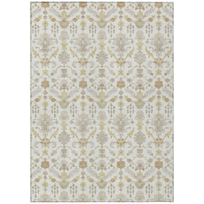 Machine Washable Indoor/Outdoor Chantille ACN2857 Global Rug