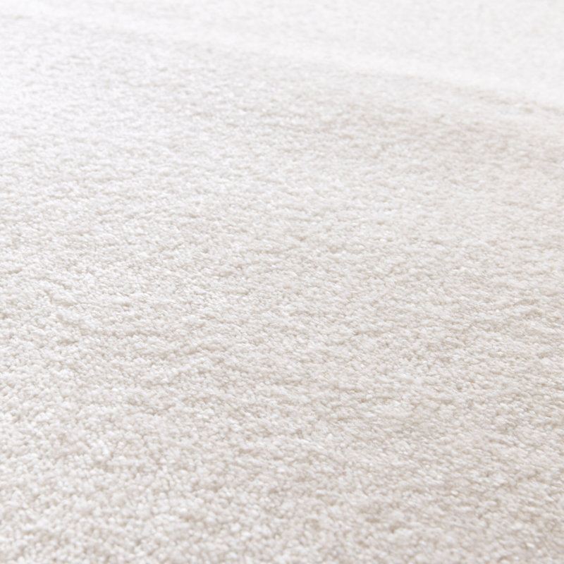 Anyhia Ombre Area Rug, Rectangle 160 x 230cm