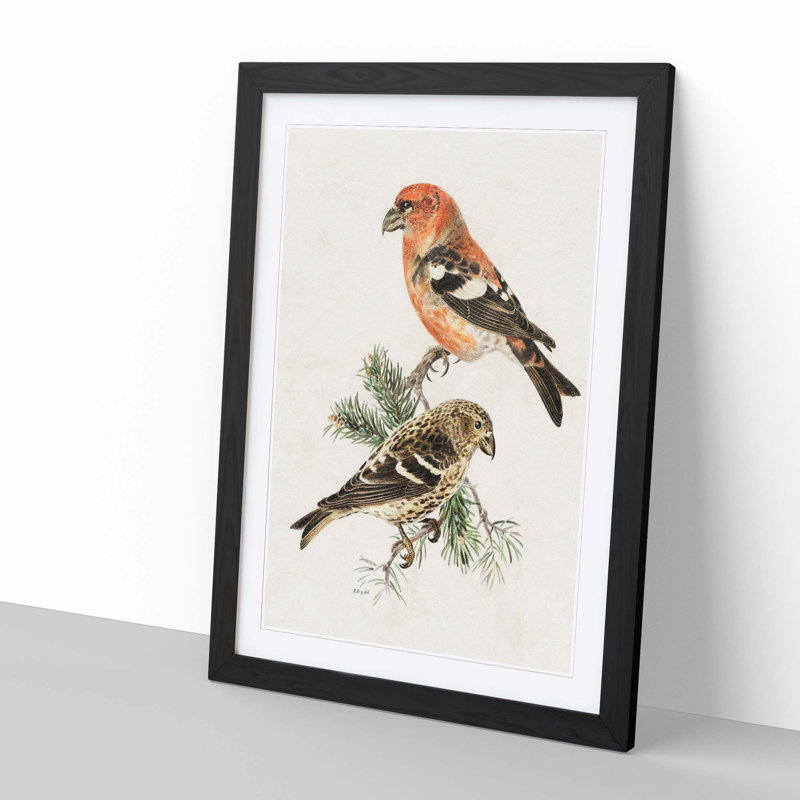 Crossbill Birds by Von Wright - Picture Frame Painting Print, 65cm H x 48cm W x 2cm D, Black Framed