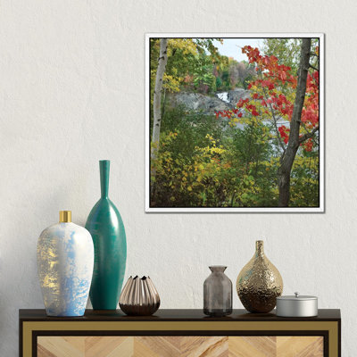 Chutes Provincial Park, Ontario, Canada I by Tim Fitzharris - Gallery-Wrapped Canvas Giclée on Canvas
