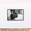 Frenchie, reproduction d'art sur toile-1159604693
