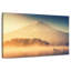 Alvord brillant Mont Fuji-107853923
