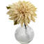 Dahlia maîtresses en vase