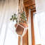 Porte-plantes Troyes