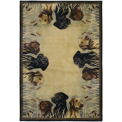 Springtown Indoor Rug