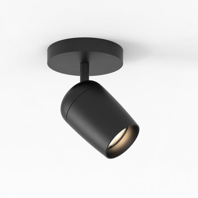 Koto 1 - Light Spotlight