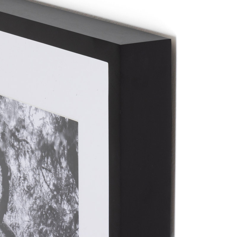 Tree Gaze IV Print by Coup D'Esprit, 40" H x 30" W x 2.5" D