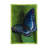 " Jewel Tones "-26111920