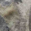 Langley Street® Lineberger Floral Handmade Tufted Sage Green/Beige Area ...