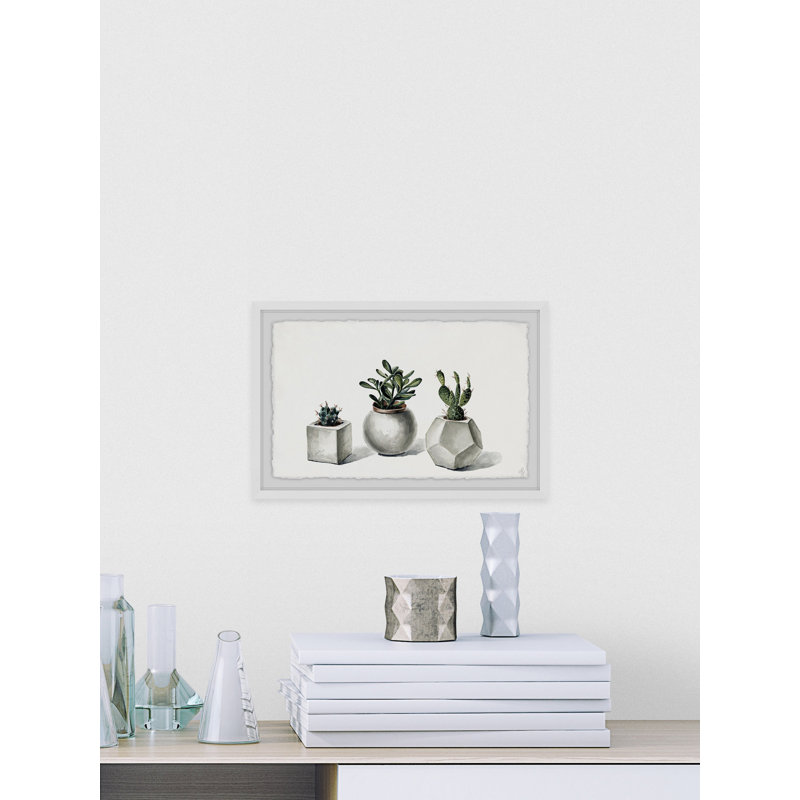 Planted Cacti - Single Picture Frame Painting, 41 cm H x 61 cm W x 3.81 cm D
