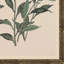 Floral Woodblock Print I Framed-44383207