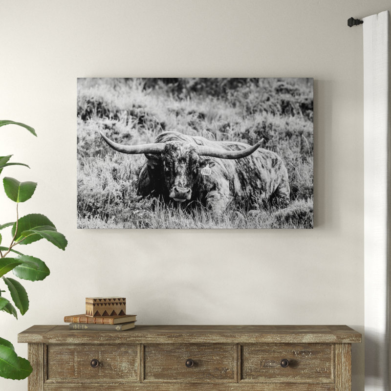 « b&w longhorn iii », photographie sur toile tendue, H 22 po x l 32 po x P 2 po