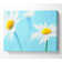 Wrapped Canvas Art Prints