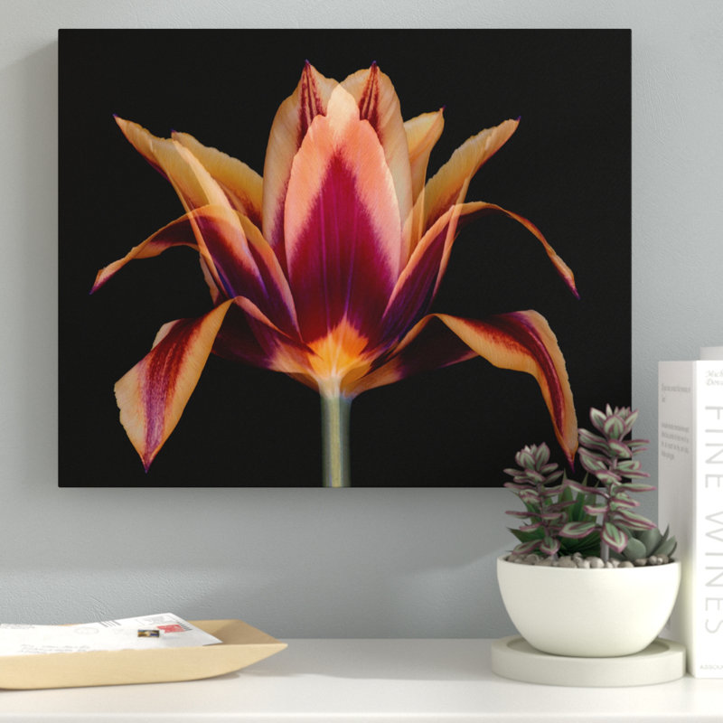« red tulipe », reproduction d’impression sur toile tendue, H 30 po x l 40 po x P 1,5 po, Cadre noir