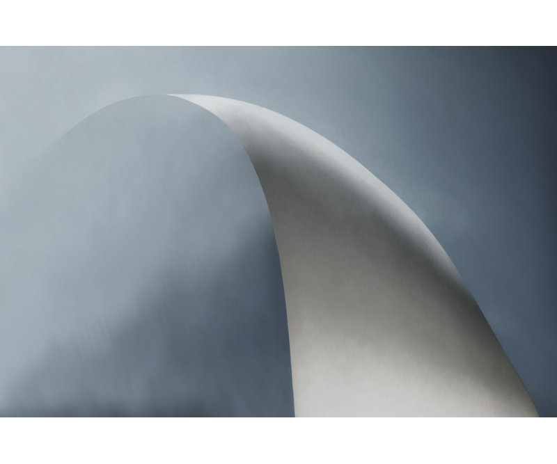 bow Canvas Print, 76.2 cm H x 50.8 cm W