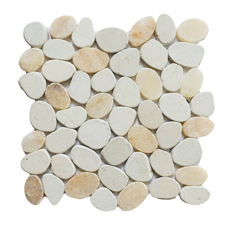 Carreau de mosaïque pour mur et plancher en pierre naturelle Hawaii 12 "x 12", Huître