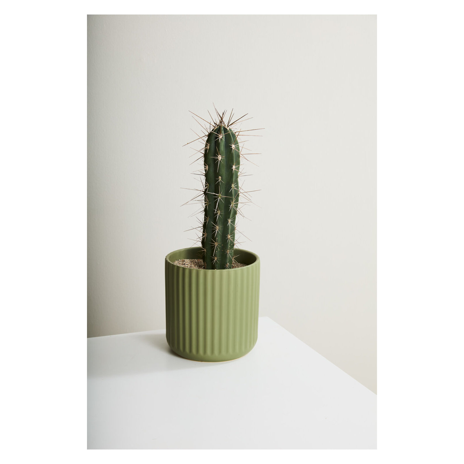 Beam Pot, 9.25" H x 9.25" W x 9.25" D