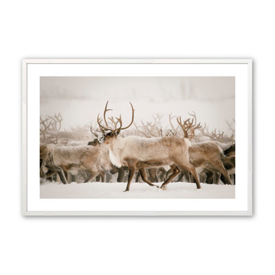 Jorin " Splendour Of Nature " by Krista Broadway