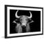 « cow stare », reproduction de photo sur papier encadrée-192932118-241962201