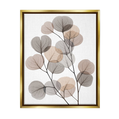Art mural moderne sur toile, feuilles d'eucalyptus moderne et feuilles brun gris translucide par Albert Koetsier