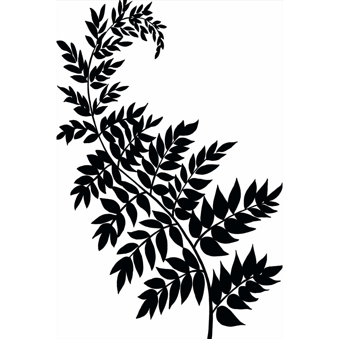 Leaf Silhouette III by Chariklia Zarris - Wrapped Canvas Print