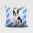 Bleuet des champs