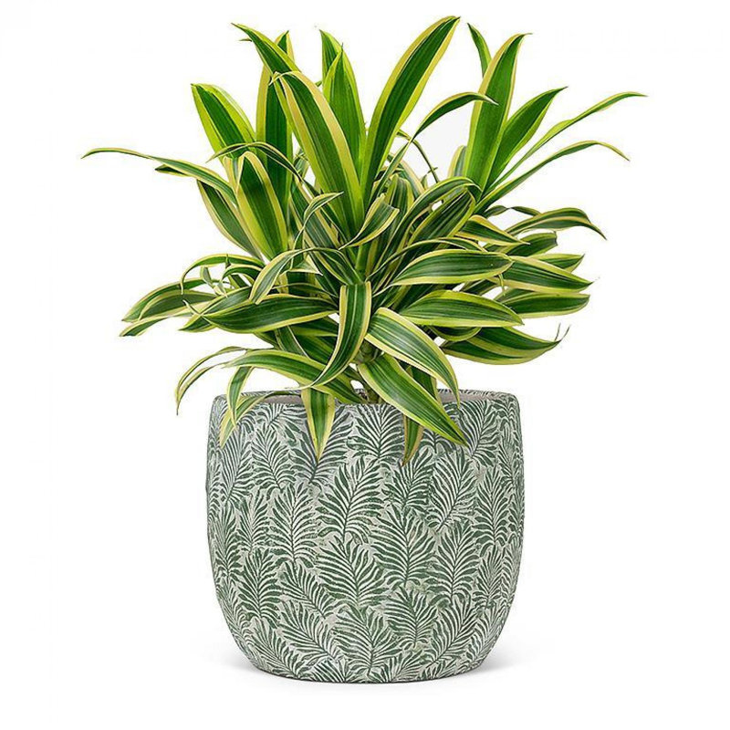 Green Leaves Planter