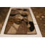 One-of-a-Kind 4' X 6' Hand Knotted Area Rug