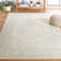 Oriental Area Rug