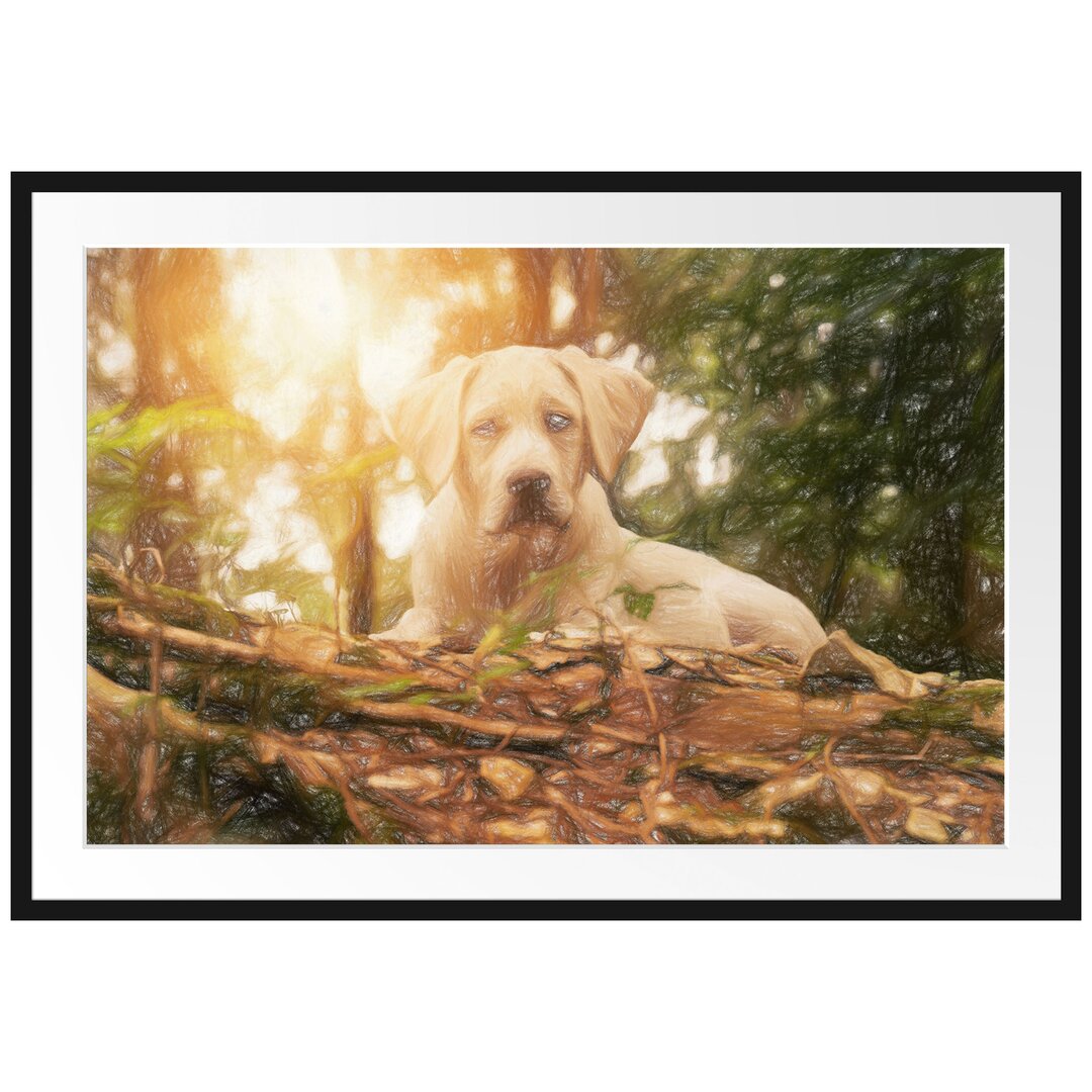 Gerahmtes Poster Hund im Wald bei Sonneuntergang