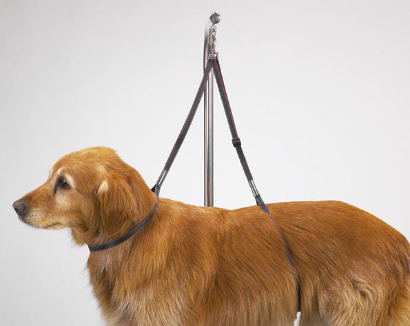 Plastic Adjustable Dog Table Accessory
