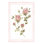 " Rose Pattern I " by Emma Scarvey