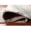Transitional Oriental Rug 4x6