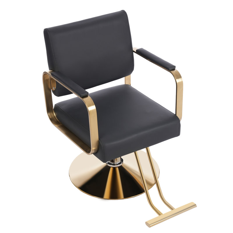 Fauteuils Stylist For Salon - Fauteuil de coiffeur rotatif à 360 ° pour salons de coiffure, Noir; or, Or