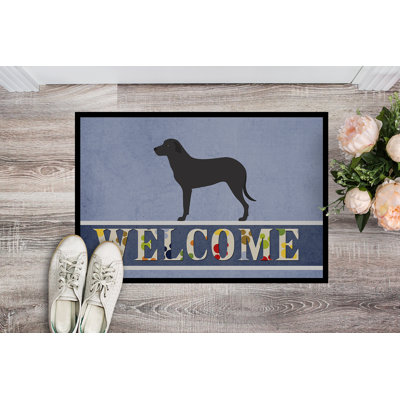Non-Slip Outdoor Doormat