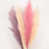 Cream/Pink/Light Purple